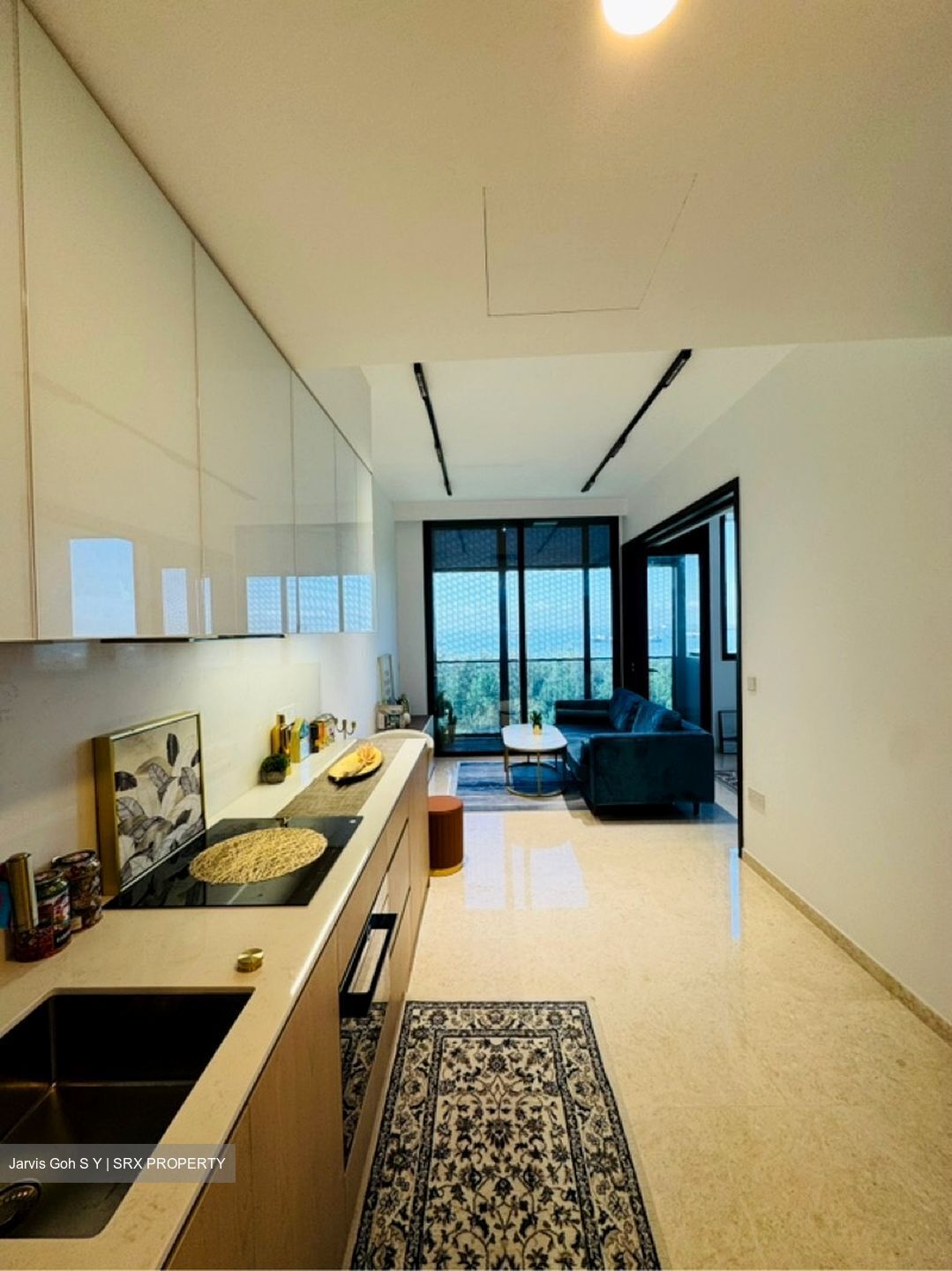 Meyer Mansion (D15), Apartment #613262741